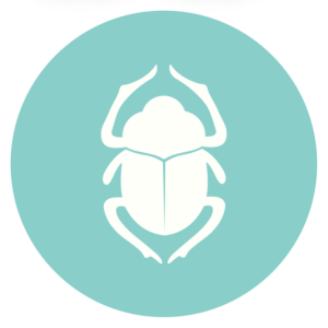 logo scarabee.io green background